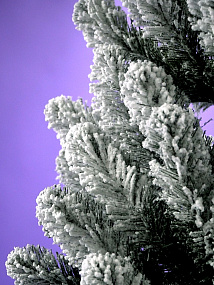Ель CRYSTAL TREES ВЕРНИСАЖНАЯ в снегу 210 см KP1210S